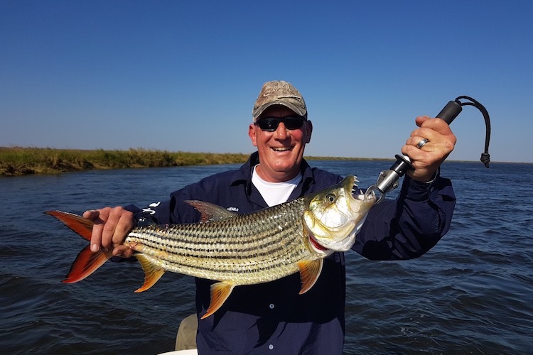 Fishing safari on River Zambezi Zambia 