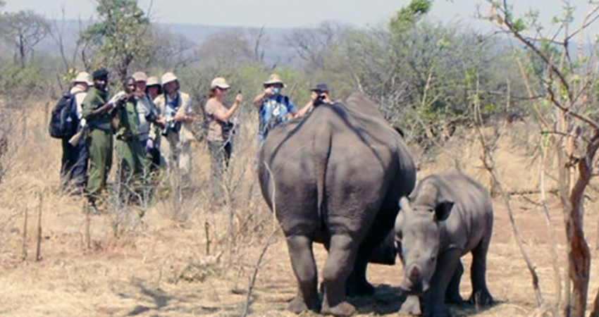 rhino walk in mosi oa tunya National park
