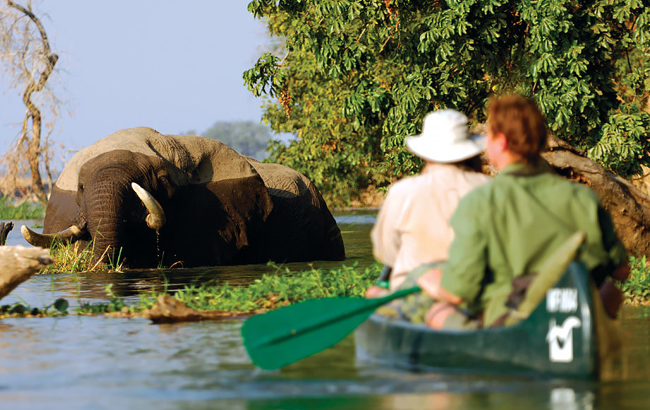 Canoeing full day safari on River Zambezi Zambia 