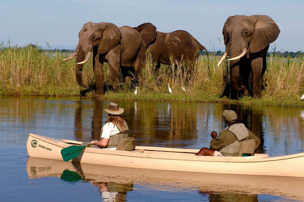 Canoeing full day safari on River Zambezi Zambia
