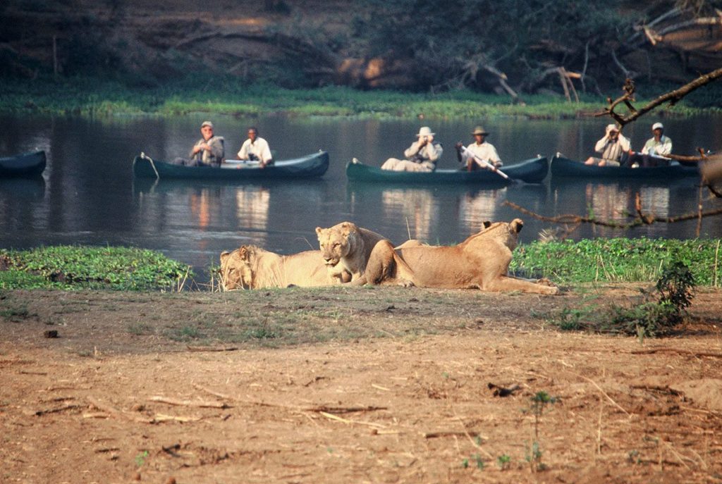 Canoeing full day safari on River Zambezi Zambia