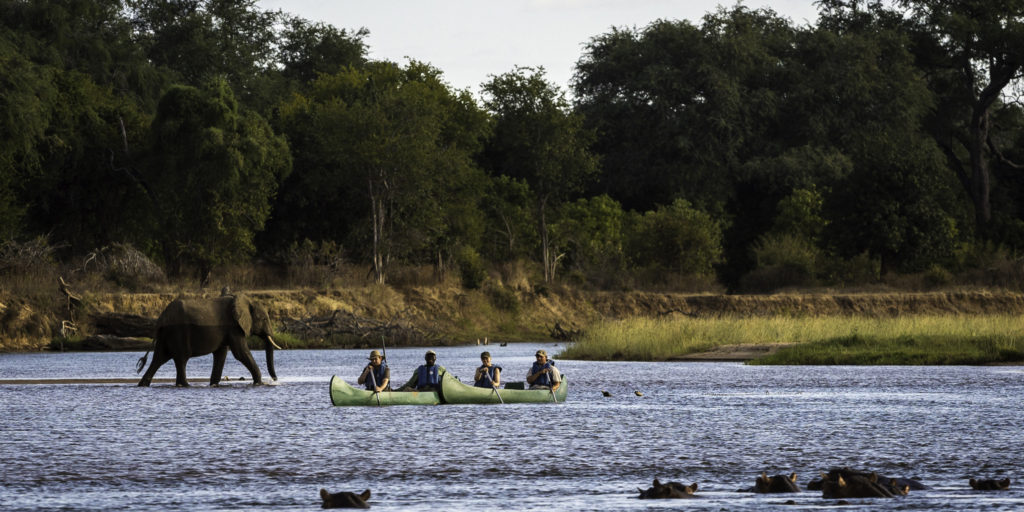 Canoeing safaris in Mana Pools National Park.
