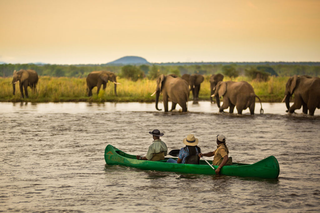 Canoeing full day safari on River Zambezi Zambia