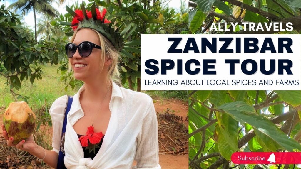12 days Victoria falls and Zanzibar beach holiday
