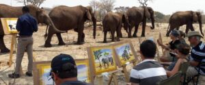 Elephant art at victoria falls